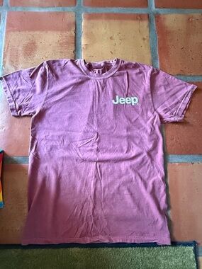 Comfort Colors Dusty Rose Crewneck Tee